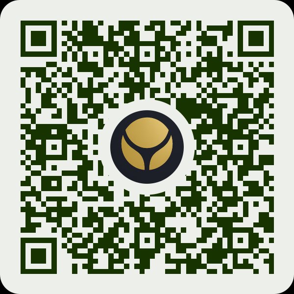 QR-Code für die Zahlung über Wise